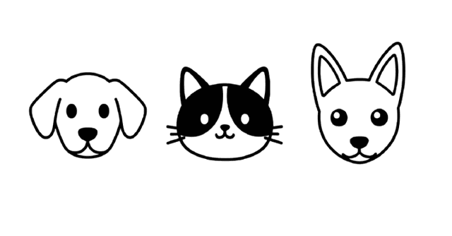 고양이와 강아지